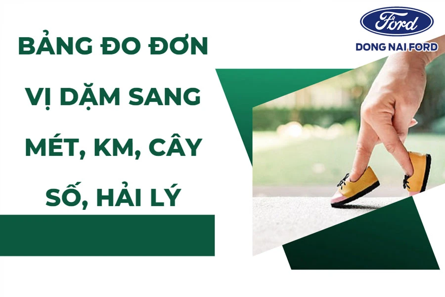 bang-doi-don-vi-dam