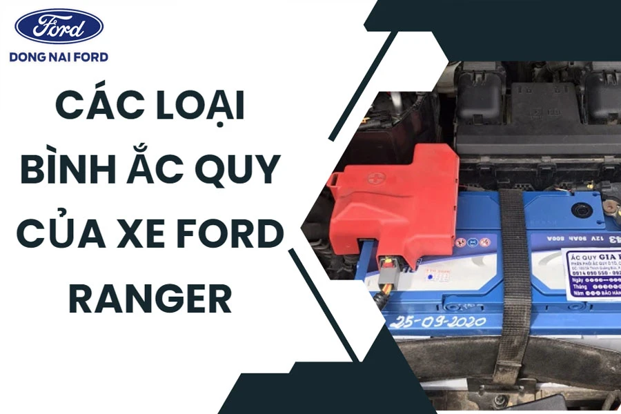 cac-loai-binh-ac-quy-xe-ford