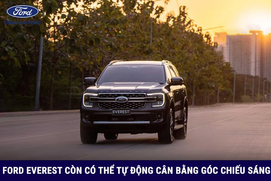 con-co-the-tu-dong-can-bang-goc-chieu-sang