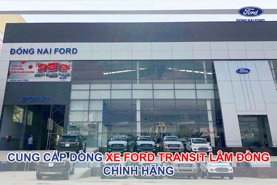 cung-cap-dong-xe-ford-transit-lam-dong-chinh-hang