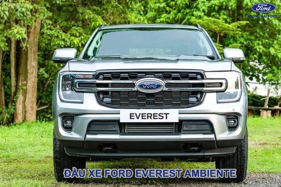 dau-xe-ford-everest-ambiente