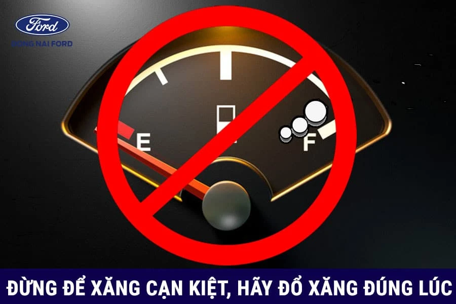 do-xang-dung-luc-dung-thoi-diem