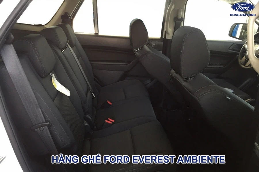 hang-ghe-ford-everest-ambiente