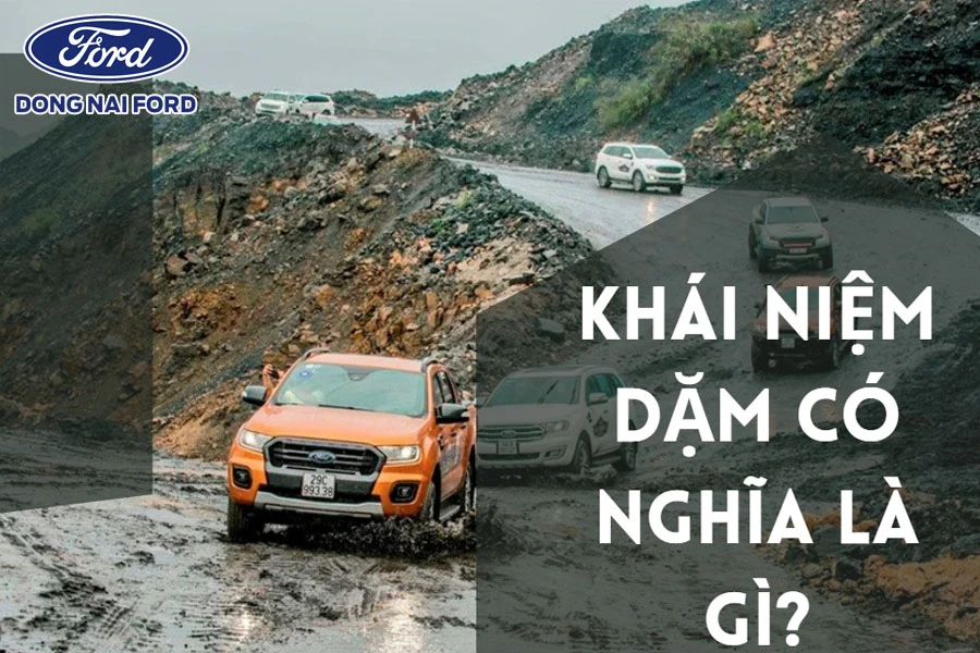 khai-niem-dam-co-nghia-la-gi
