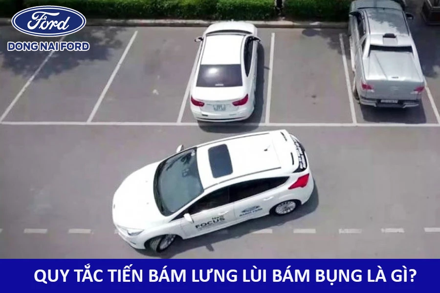 quy-tac-tien-bam-lung-lui-bam-bung-la-gi