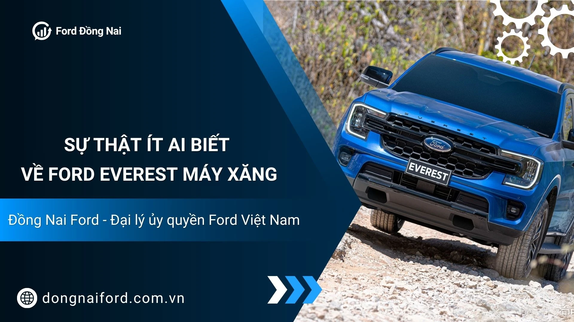 Ford Everest Máy Xăng: Sự Thật Ít Ai Biết & Tư Vấn Mua Xe Tại Đồng Nai Ford