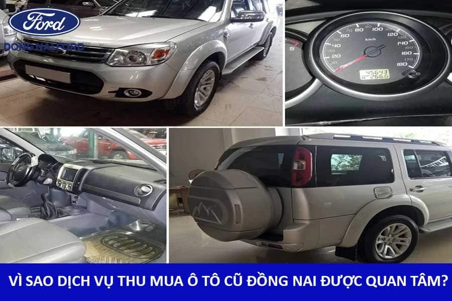 vi-sao-dich-vu-mua-o-to-cu-dong-nai-duoc-quan-tam