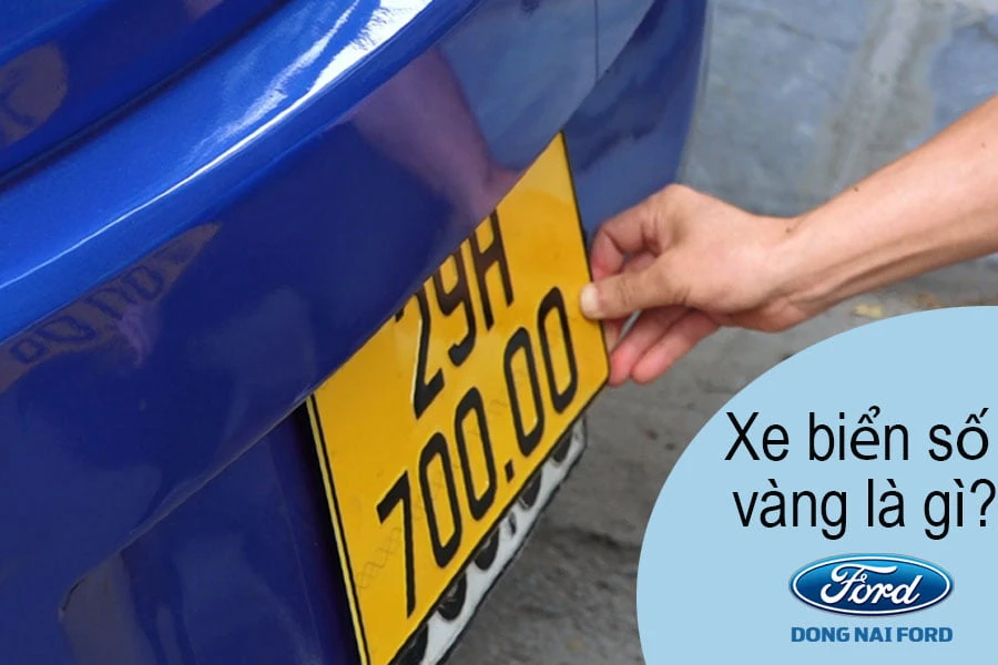 Xe biển số vàng là gì? Xe nào được lắp biển số vàng?